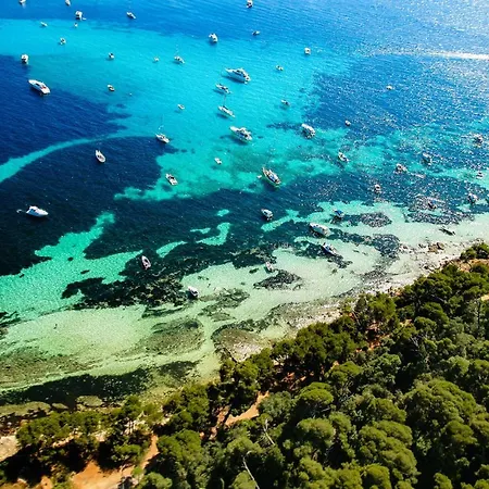 La Palme De Selyan Elegance&mer * Cannes